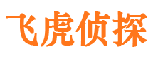 文安捉小三公司